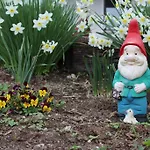 Domacija Za Robom Apartament *