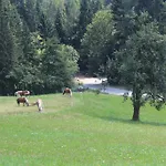 Domacija Za Robom Apartament