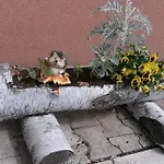 Apartament Domacija Za Robom *