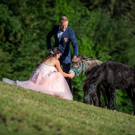 Appartamento Domacija Za Robom Cerkno