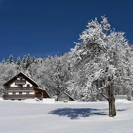 Appartement Domacija Za Robom