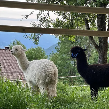 Domacija Za Robom Appartement