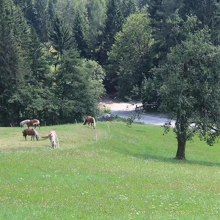 Domacija Za Robom Appartement