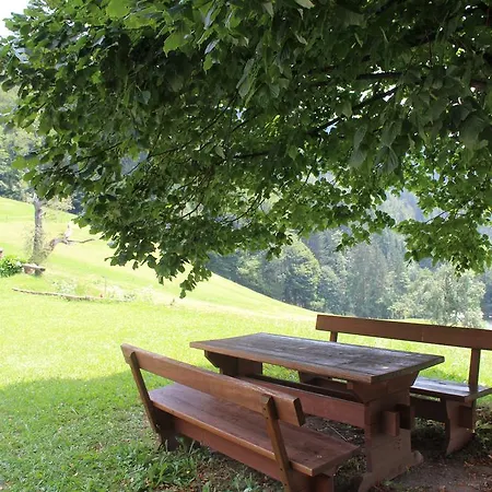Domacija Za Robom * Cerkno