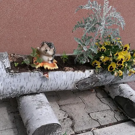 Appartement Domacija Za Robom *