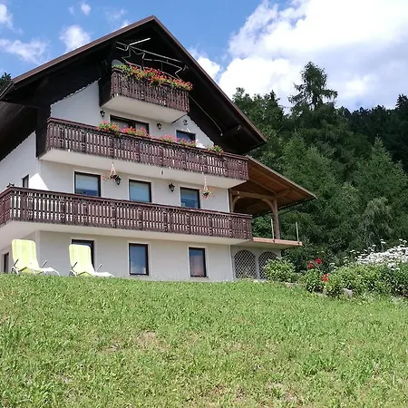 Apartman Domacija Za Robom Cerkno