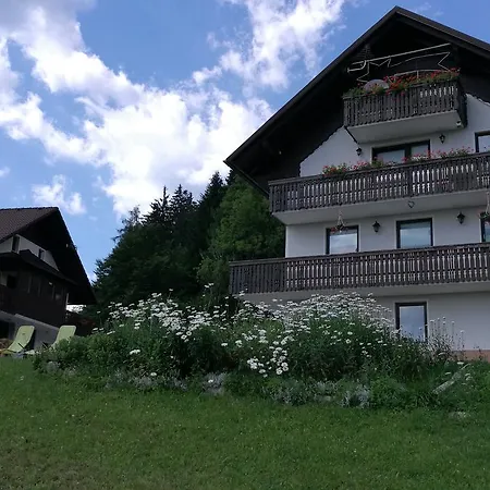 Apartment Domacija Za Robom Cerkno