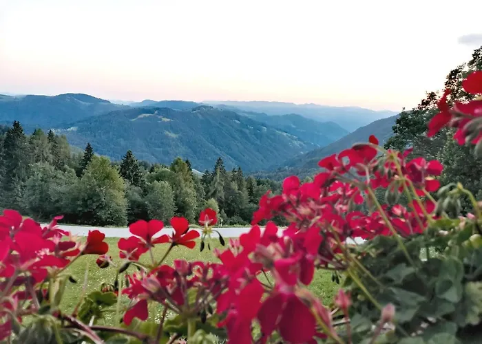 Domacija Za Robom Apartmán *