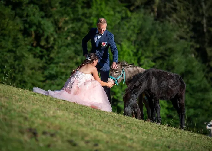 Appartement Domacija Za Robom Cerkno