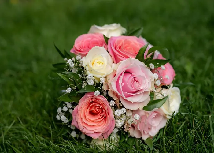 Domacija Za Robom Appartement *