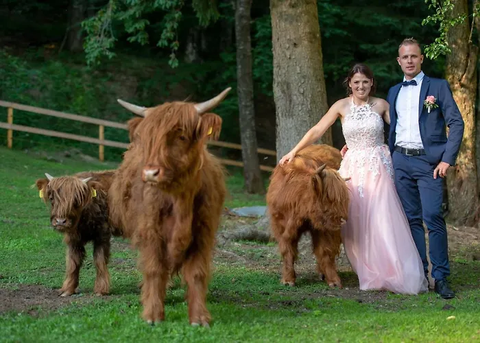 Apartmán Domacija Za Robom Cerkno