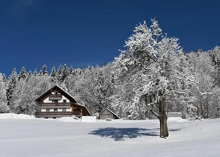 Appartement Domacija Za Robom