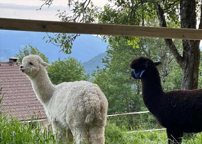 Domacija Za Robom Appartement