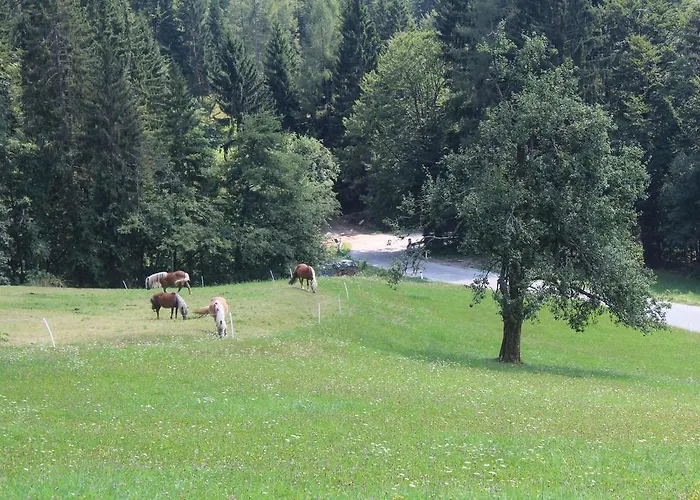 Domacija Za Robom Appartement