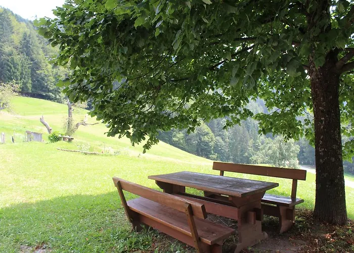 Domacija Za Robom * Cerkno